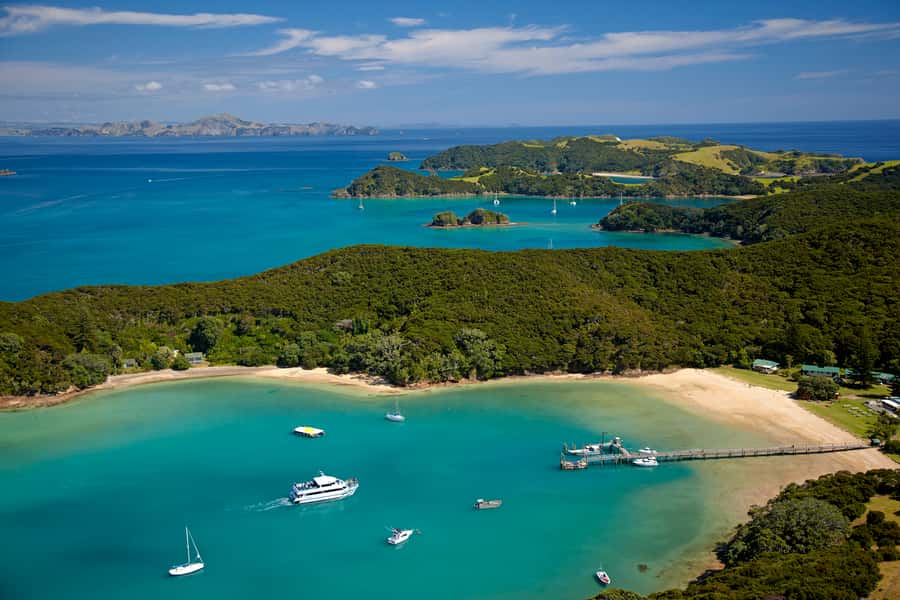 From Paihia: Full-Day Bay of Islands Cruise - Wildlife watching: dolphins, whales, and a little patience