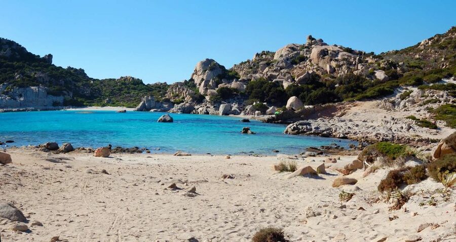 From Palau: La Maddalena Archipelago Boat Tour with Pasta - Santa Maria Island gives you the first long swim