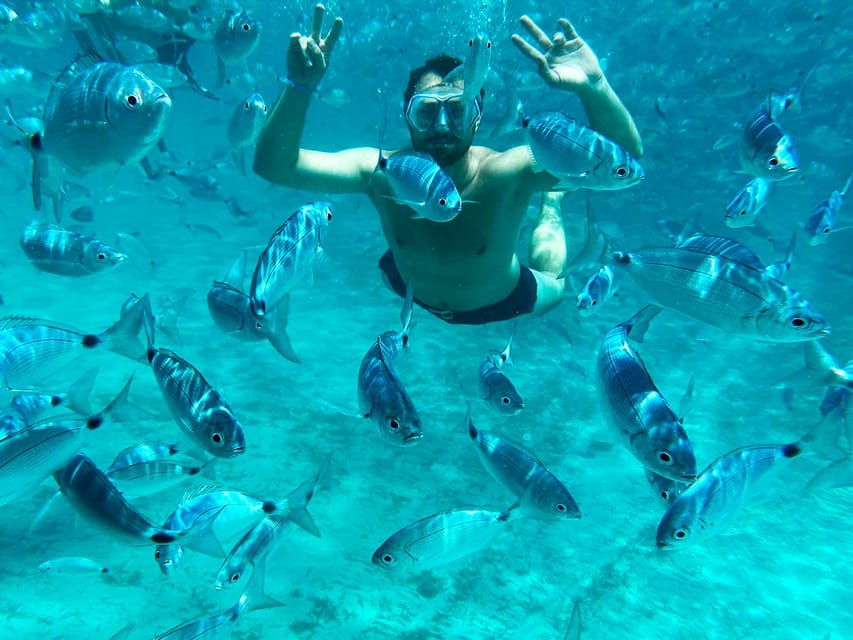 From Palau: La Maddalena Archipelago Catamaran Tour w/ Lunch - Starting in Palau and finding the right boat