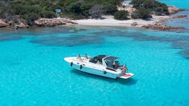 From Palau: Speedboat tour in La Maddalena Archipelago - Key points at a glance