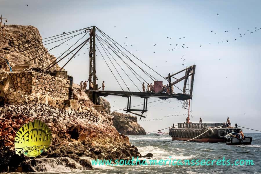 From Paracas: Ballestas Islands tour all Inclusive - Why the Ballestas Islands make a good Paracas morning