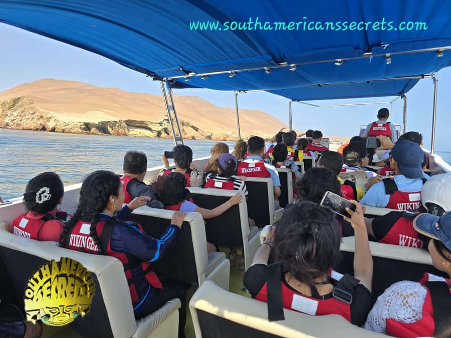 From Paracas: Ballestas Islands tour all Inclusive - An hour among Ballestas wildlife