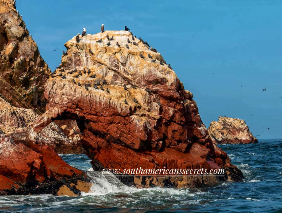 From Paracas: Ballestas Islands tour all Inclusive - Getting from your hotel to Marina Turística