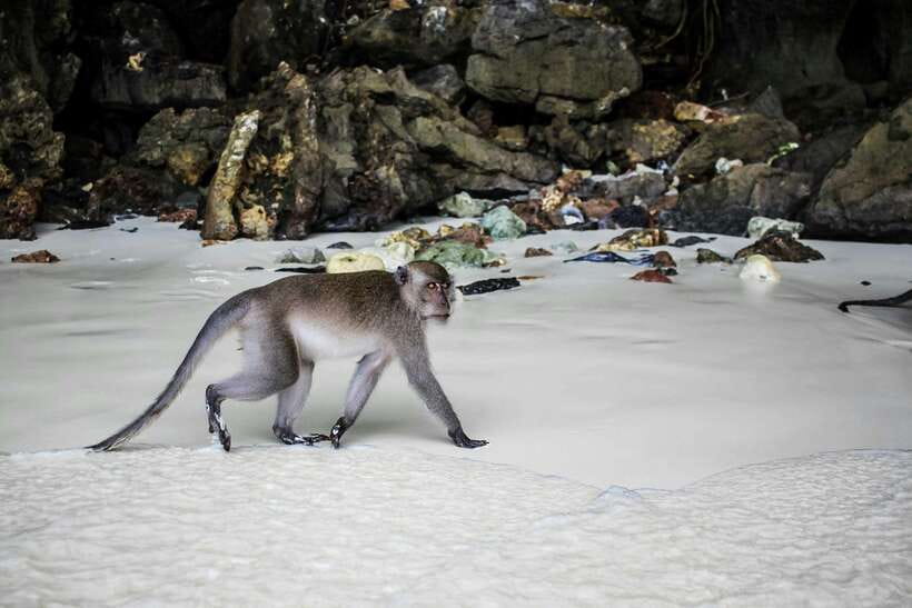 From Phi Phi: Full Day 7 Island Tour by Longtail with Sunset - Starting at Tonsai Bay, not Krabi