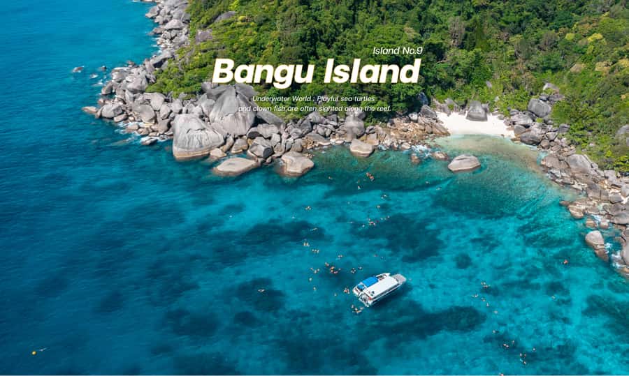 From Phuket or Khaolak : Similan Islands Day Trip - Payu Island and the second snorkeling session