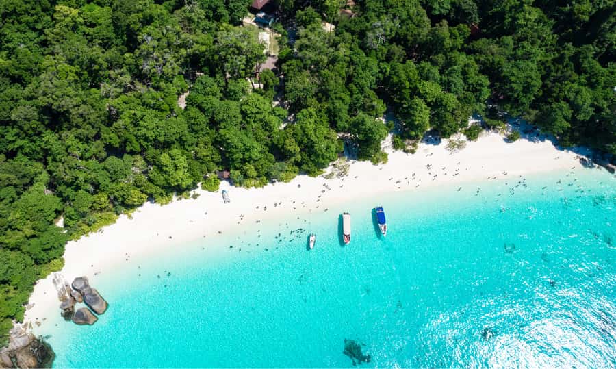 From Phuket or Khaolak : Similan Islands Day Trip - Who will enjoy this day most