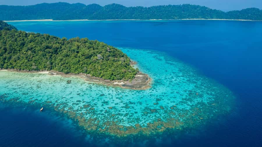 From Phuket or Khaolak: Surin Islands Day Trip - Beach Lunch Inside the National Park