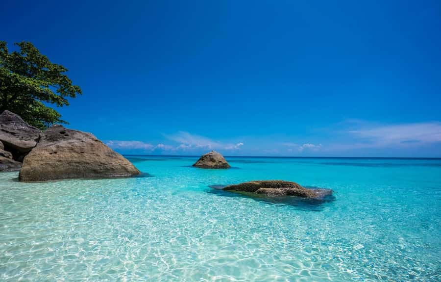 From Phuket: Similan Islands Day Trip - Returning to the pier around 4:30 p.m.