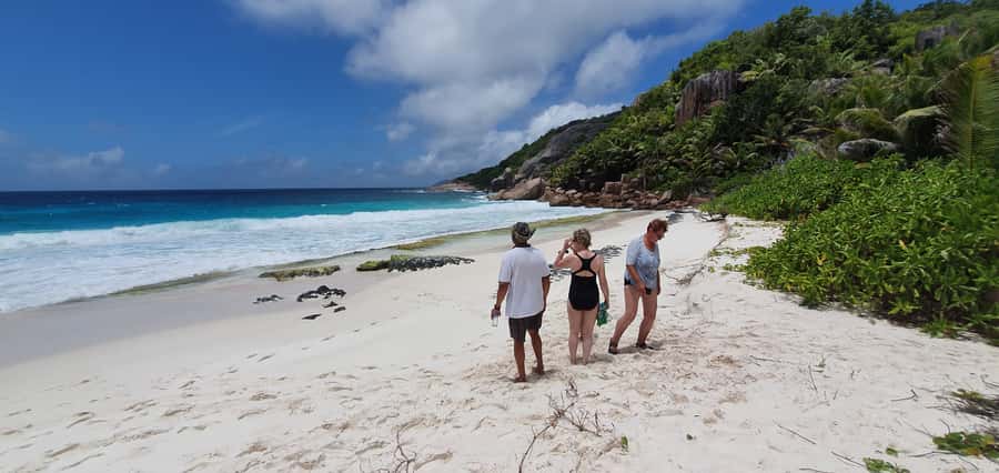 From Praslin: Cousin, Curieuse & St Pierre Islands Day Tour - Price, extra fees, and what you receive for $153