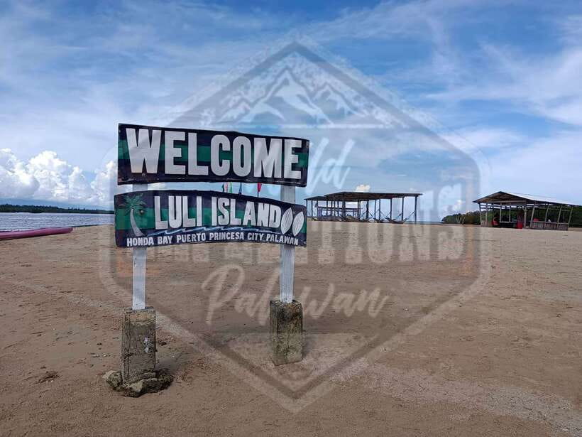 From Puerto Princesa: Honda Bay Island Hopping Full-Day Tour - Starfish Island for sea creatures and lunch