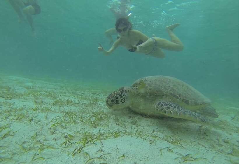 From Puerto Princesa: Port Barton & Island Hopping Day Trip - Why Port Barton is worth the long ride