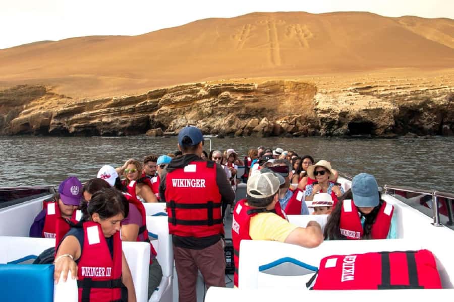 From San Martin Port: Ballestas Islands Tour in Paracas - Two hours among sea lions, penguins, and seabirds