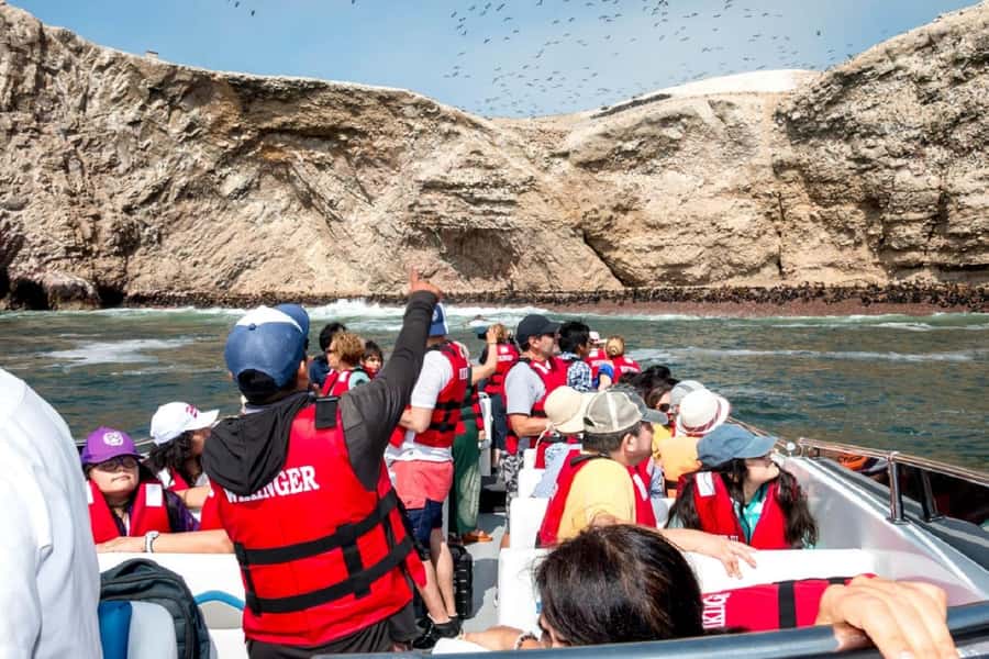From San Martin Port: Ballestas Islands Tour in Paracas - Should you book the Ballestas Islands tour?