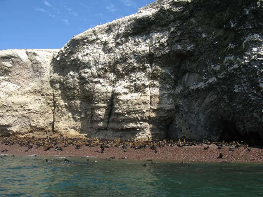 From San Martin Port: Ballestas Islands Tour in Paracas - FAQ