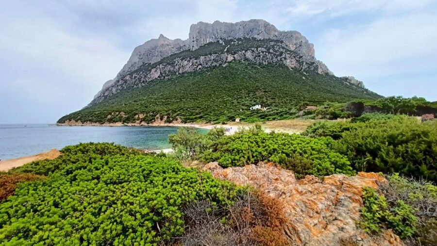 From San Teodoro: Tavolara Archipelago Dinghy Mini Tour - Cala Brandinchi, San Teodoro’s bright opening scene