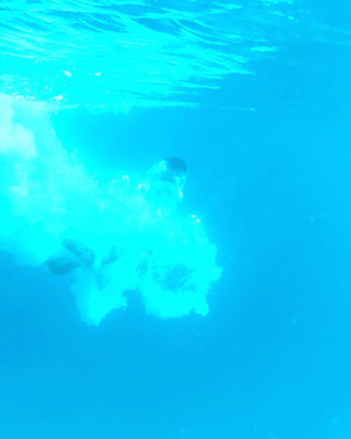 From Split: Blue Lagoon & 2 Islands half-day Private - Who should book this Split boat trip?