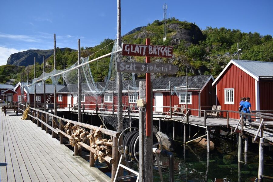 From Svolvaer: Private Lofoten Islands Tour with Transfer - Guides, photos, and the private format