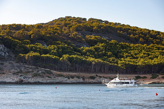 From Trapani: Egadi Islands tour with lunch on board - The Faraglione, Cala Fredda, and Cala Minnola