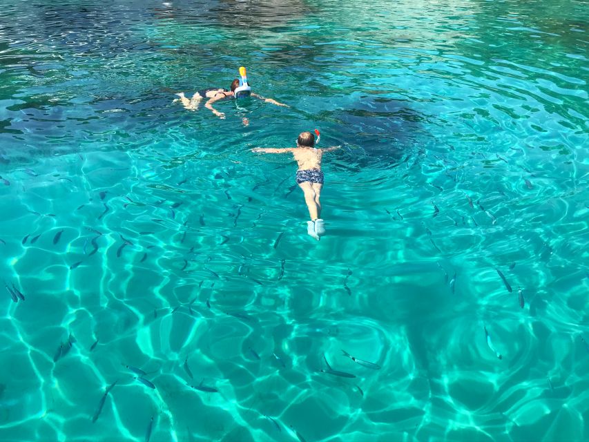 From Trogir: Three Islands Half-Day Speedboat Tour - Morning or afternoon?