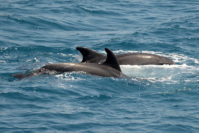 Full Day 3-Island Boat Cruise from Port of Kos - An hour on tiny Pserimos