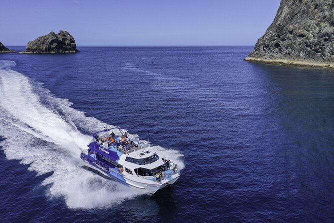Full-Day Bay of Islands Tour by Vigilant Yacht Charters - Price, practical details, and who gets the best value