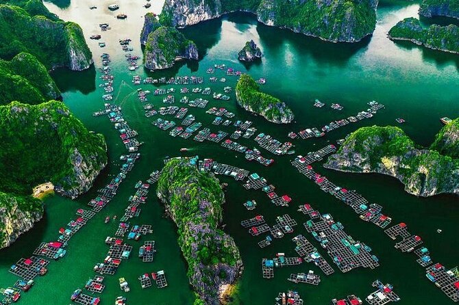 Full Day Boat Tour in Halong Bay, Cat Ba Archipelago & Lan Ha Bay - Who will enjoy this day most