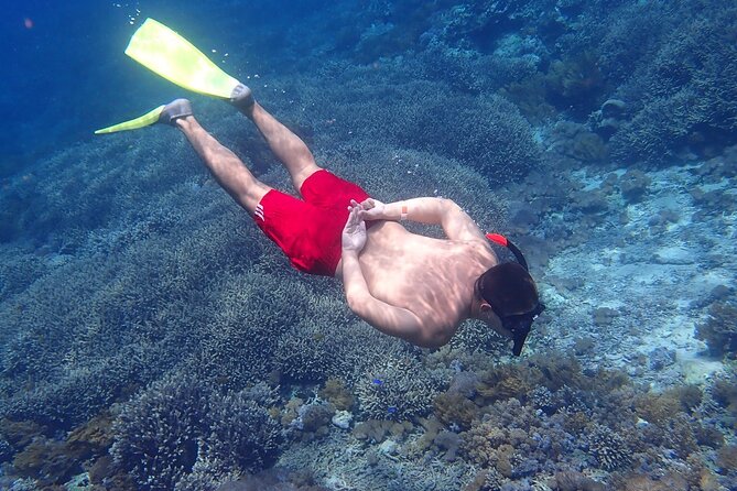 Full-Day Island-Hopping Tour from Bali - Three snorkeling stops around Lembongan and Penida