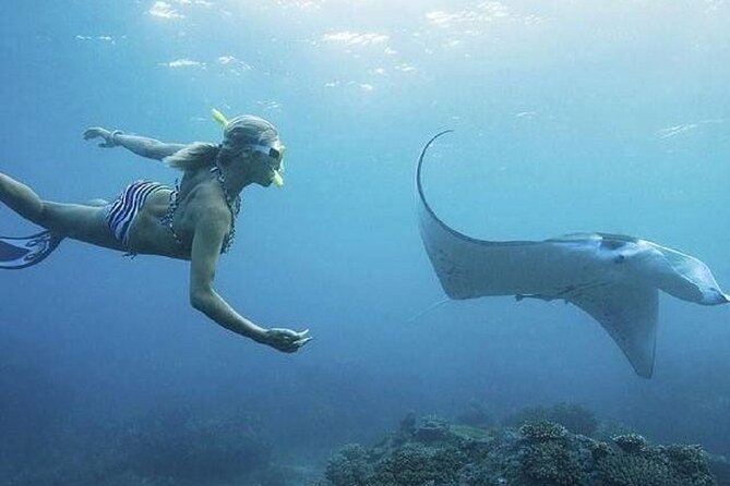 Full-Day Island-Hopping Tour from Bali - Price, inclusions, and extra costs