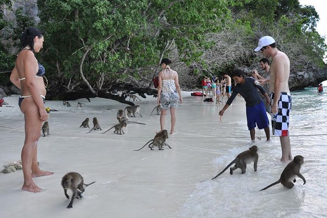 Full Day & Sunset Phi Phi Islands Tour From Phi Phi by Speedboat - Nui Bay and Viking Cave add variety