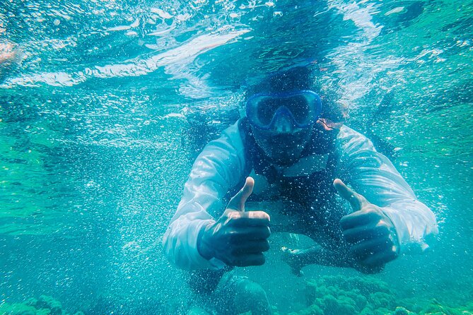 Full Day Tour of Five Premium Islands in Cartagena - Isla Grande: coral, fish, and a sunken plane