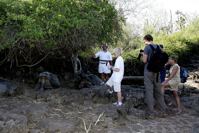 Galapagos Intensive 5 days, land base (3Islands) Excludes galapagos flight - Day 3: Flamingos, tortoise conservation, and Tintoreras