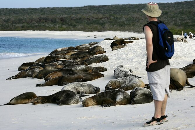 Galapagos Intensive 5 days, land base (3Islands) Excludes galapagos flight - Day 4: Bartolomé’s famous volcanic view