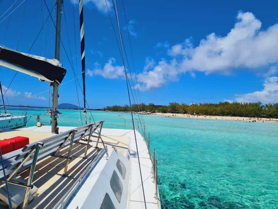 GBaie: 3 North Islands Cruise, Lunch & CoindeMire Snorkeling - Ilot Gabriel and its birdlife