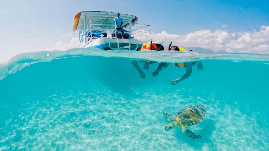Gili Trawangan: 3 Gili Islands Turtle Snorkel Cruise w/ BBQ - Key Points Before You Book
