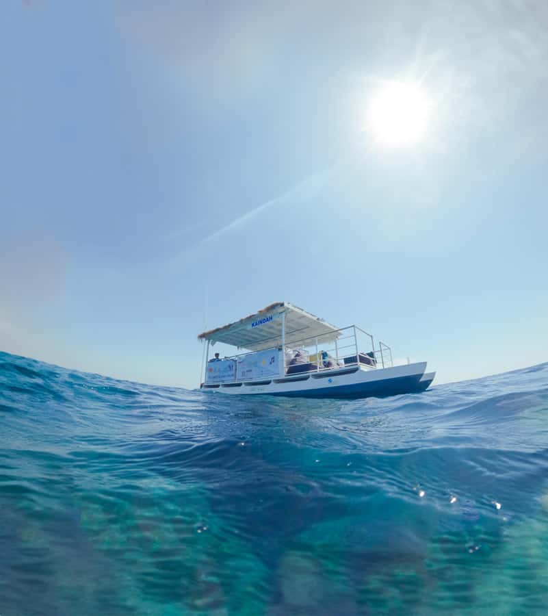 Gili Trawangan: 3 Gili Islands Turtle Snorkel Cruise w/ BBQ - A Quiet Break On Gili Meno