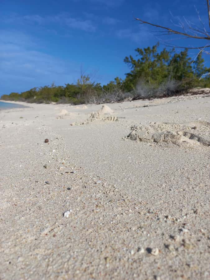 Grand Baie: Three Islands Private Boat Trip and Beach BBQ - The private group is valuable for four people