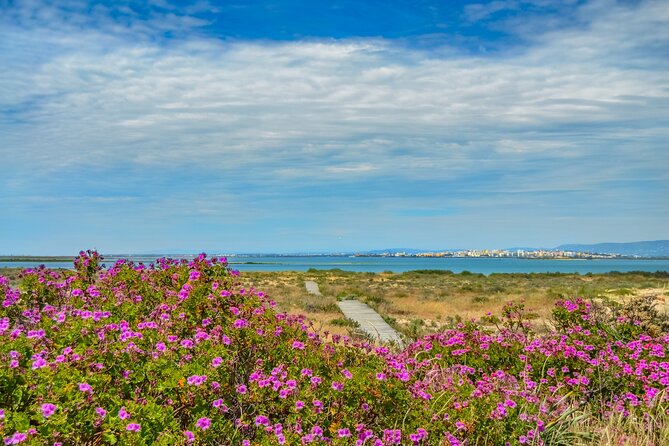 Guided Nature Tour & Hop On Hop Off 3 Islands - Starting in Faro at 11:00 a.m.