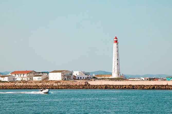Guided Nature Tour & Hop On Hop Off 3 Islands - Barreta Island and the Ria Formosa setting