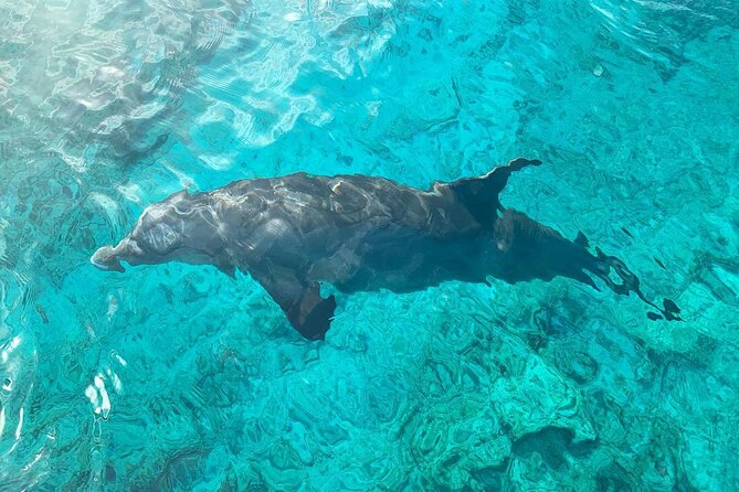 Half Day Snorkeling, Sightseeing & Island Hopping Private Charter (Afternoon) - Snacks, drinks, and the value of a private group