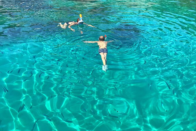 Half Day Speedboat Tour to Three Islands from Trogir - Maslinica on Šolta: the most pleasant change of pace