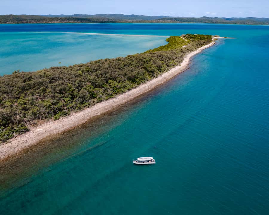 Hervey Bay: Exclusive Island Hopper Adventure Cruise - Key points to know before booking
