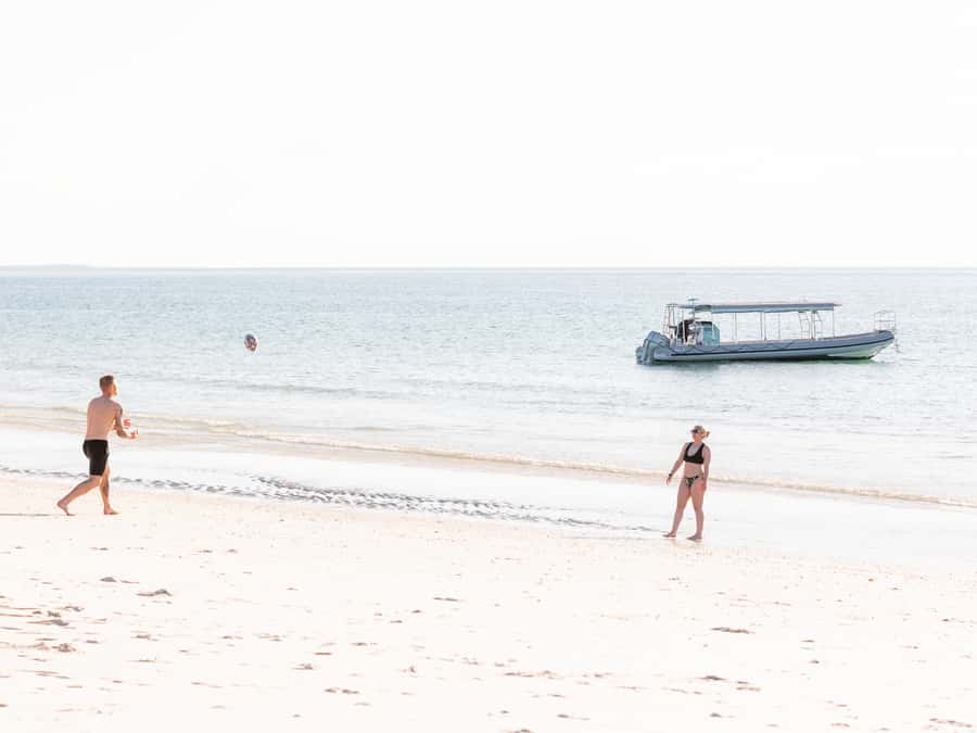 Hervey Bay: Exclusive Island Hopper Adventure Cruise - Who should book the Island Hopper Adventure?