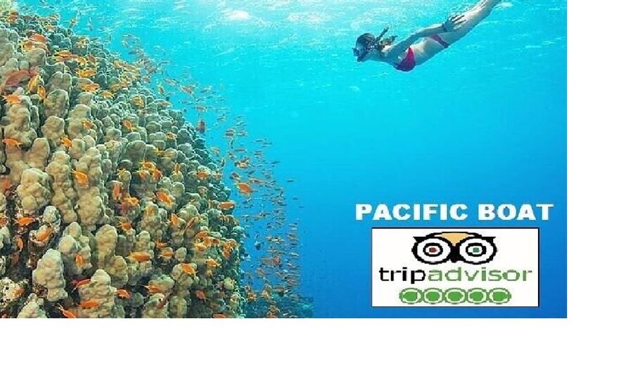 Hoi An/Da Nang: Snorkelling & Island-Hopping Speedboat Tour - Leaving Cua Dai Harbour for Cham Island