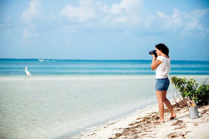 Holbox 3 Island Group Tour - Isla de los Pájaros and its seasonal birdlife