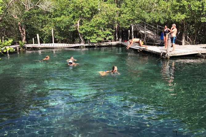Holbox 3 Island Group Tour - Isla de la Pasión and the chance to see flamingos