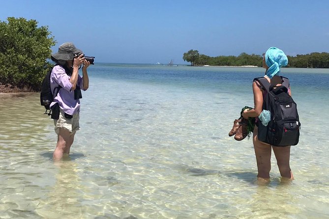 Holbox 3 Island Group Tour - Boat time, comfort, and group size