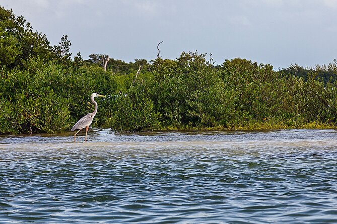 Holbox 3 Island Group Tour - Punta Mosquito: sandbank views and a weather-dependent stop