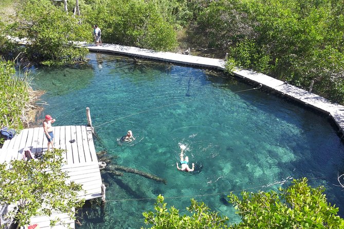 Holbox 3 Island Private Boat Tour - What this Holbox boat tour is really like