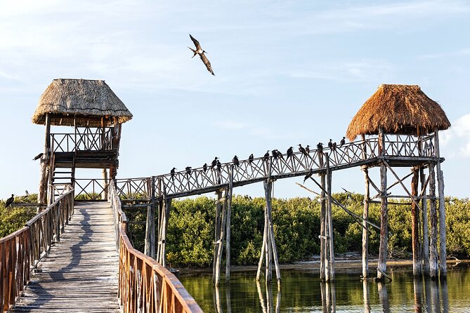 Holbox 3 Island Private Boat Tour - Guides make the private format worthwhile