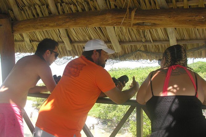 Holbox 3 Island Private Boat Tour - Timing, weather, and cancellation details
